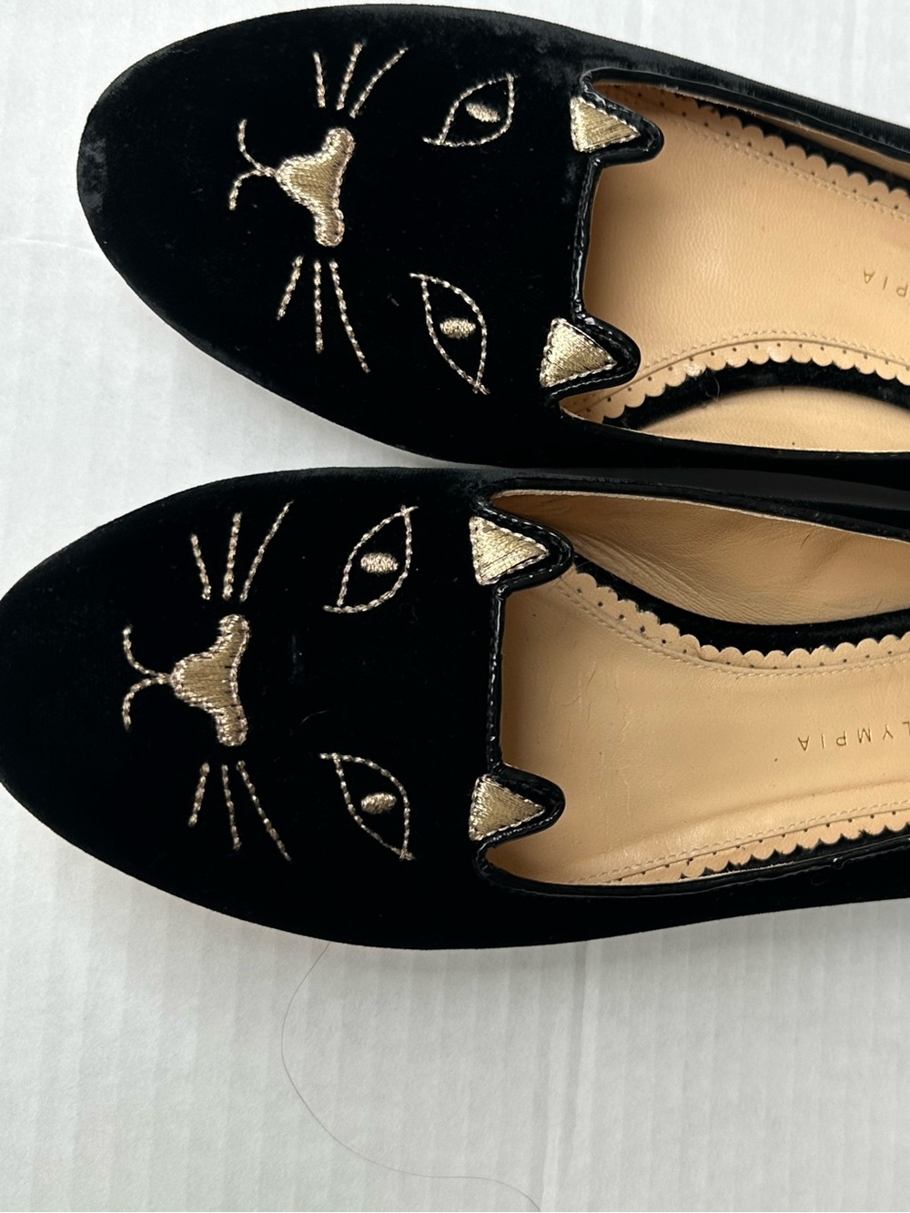 Charlotte Olympia  Black Velvet Cat Face Loafers with Gold Embroidery